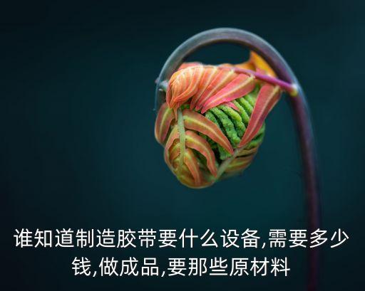 母卷自動化涂布設(shè)備,膠帶母卷有何不同?