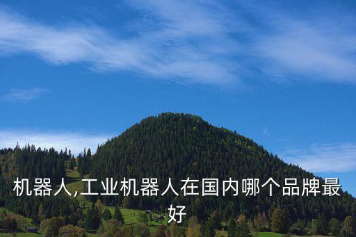 銘賽機(jī)器人,工業(yè)機(jī)器人在國(guó)內(nèi)哪個(gè)品牌最好?
