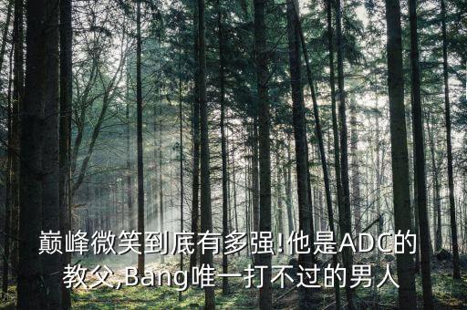 機(jī)器人 教父