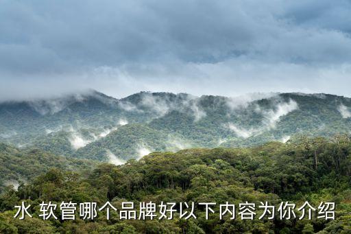水 軟管哪個(gè)品牌好以下內(nèi)容為你介紹