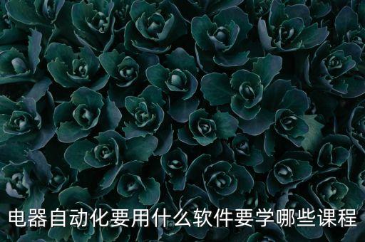 電器自動(dòng)化要用什么軟件要學(xué)哪些課程