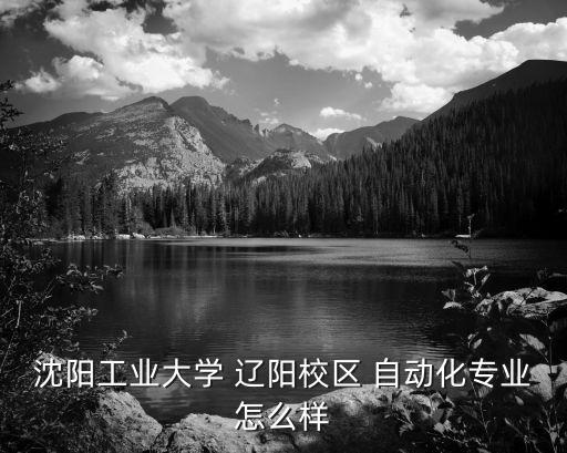 沈陽工業(yè)大學(xué) 遼陽校區(qū) 自動(dòng)化專業(yè)怎么樣