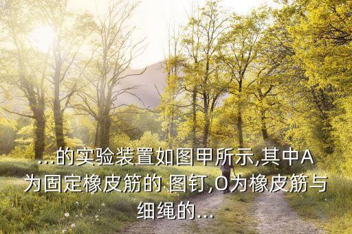 ...的實驗裝置如圖甲所示,其中A為固定橡皮筋的 圖釘,O為橡皮筋與細繩的...
