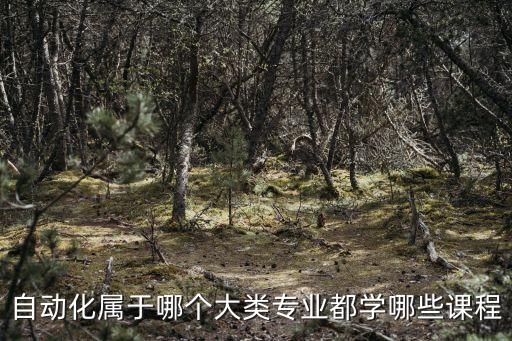 化學自動化專業(yè)是什么類,自動化專業(yè)是干什么?
