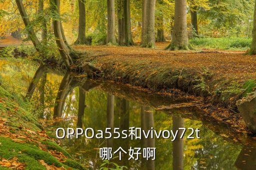 OPPOa55s和vivoy72t哪個好啊