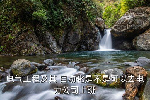 自動(dòng)化專業(yè)不進(jìn)電廠