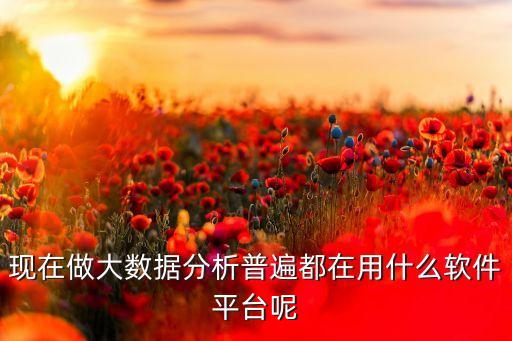 現(xiàn)在做大數(shù)據(jù)分析普遍都在用什么軟件平臺呢