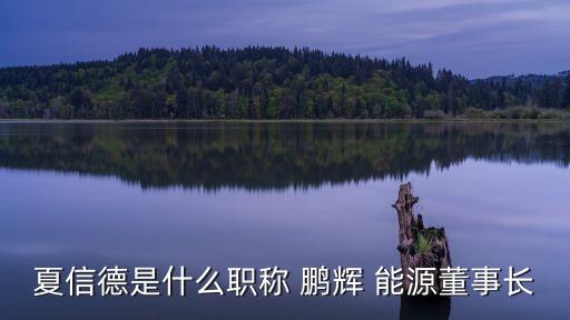 夏信德是什么職稱 鵬輝 能源董事長(zhǎng)