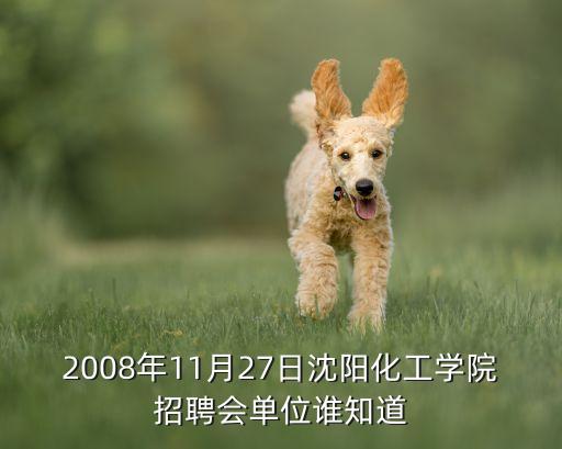 2008年11月27日沈陽化工學(xué)院招聘會單位誰知道
