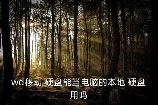 wd移動(dòng) 硬盤(pán)能當(dāng)電腦的本地 硬盤(pán)用嗎