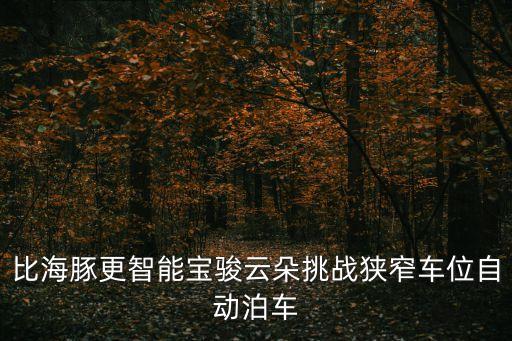 比海豚更智能寶駿云朵挑戰(zhàn)狹窄車位自動(dòng)泊車