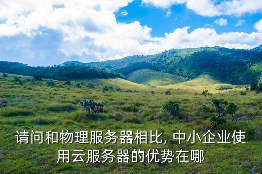 請(qǐng)問(wèn)和物理服務(wù)器相比, 中小企業(yè)使用云服務(wù)器的優(yōu)勢(shì)在哪
