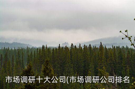 市場調(diào)研十大公司(市場調(diào)研公司排名