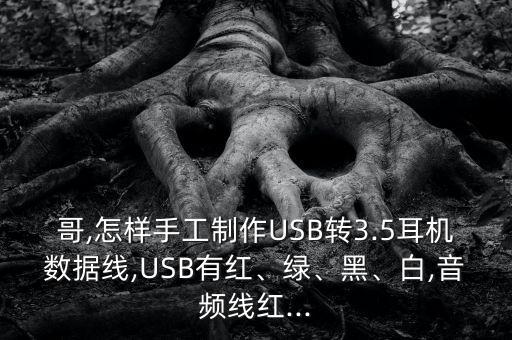哥,怎樣手工制作USB轉3.5耳機數據線,USB有紅、綠、黑、白,音頻線紅...