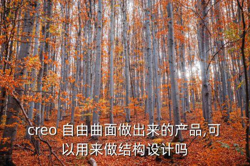 creo 自由曲面做出來(lái)的產(chǎn)品,可以用來(lái)做結(jié)構(gòu)設(shè)計(jì)嗎