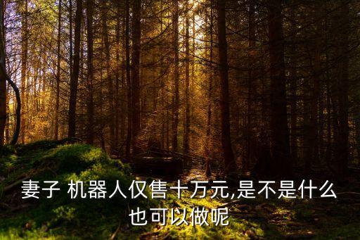 妻子 機(jī)器人僅售十萬元,是不是什么也可以做呢