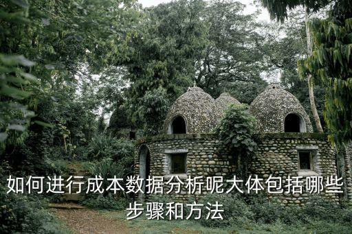 如何進(jìn)行成本數(shù)據(jù)分析呢大體包括哪些步驟和方法