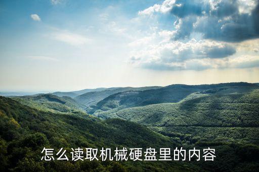 磁盤讀數(shù)據(jù)的過程,讀磁盤時(shí)出現(xiàn)錯(cuò)誤 數(shù)據(jù)錯(cuò)誤