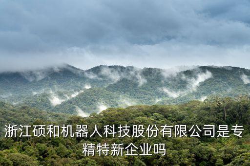 浙江碩和機(jī)器人科技股份有限公司是專精特新企業(yè)嗎
