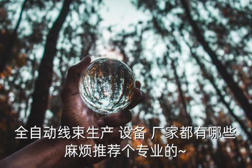 全自動線束生產(chǎn) 設(shè)備 廠家都有哪些麻煩推薦個專業(yè)的~