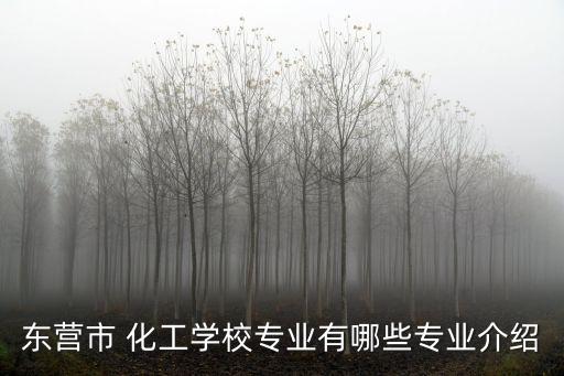 東營市 化工學(xué)校專業(yè)有哪些專業(yè)介紹