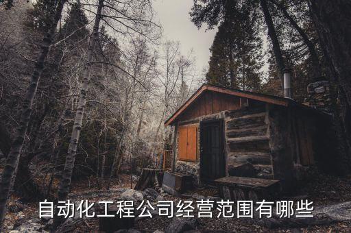 自動(dòng)化工程公司經(jīng)營(yíng)范圍有哪些