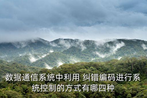 數(shù)據(jù)通信系統(tǒng)中利用 糾錯編碼進行系統(tǒng)控制的方式有哪四種