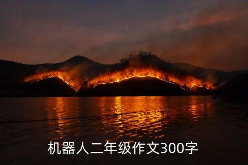 機(jī)器人二年級(jí)作文300字