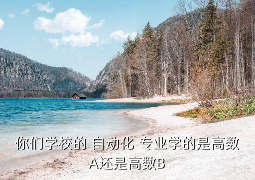 北大自動化專業(yè)