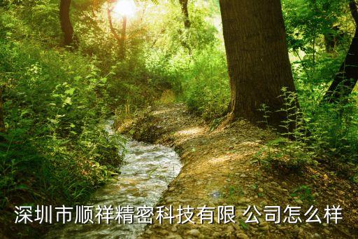 深圳市順祥精密科技有限 公司怎么樣