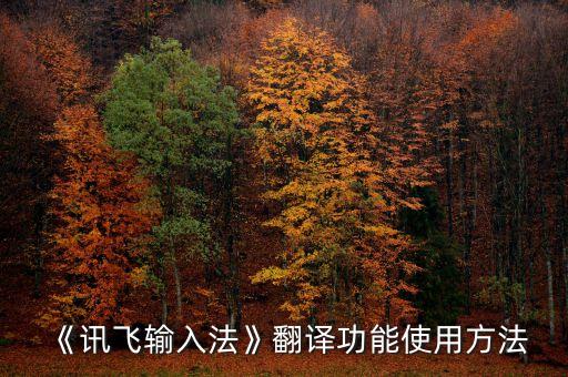 《訊飛輸入法》翻譯功能使用方法