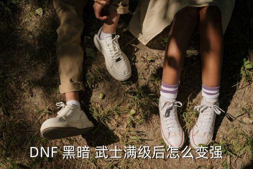 dnf黑暗武士