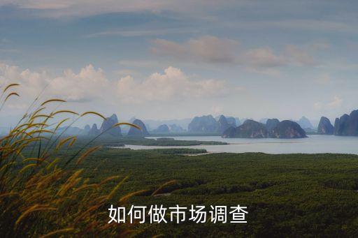 如何做市場(chǎng)調(diào)查