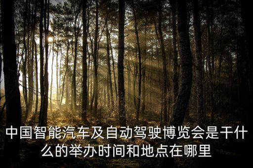 中國(guó)智能汽車(chē)及自動(dòng)駕駛博覽會(huì)是干什么的舉辦時(shí)間和地點(diǎn)在哪里