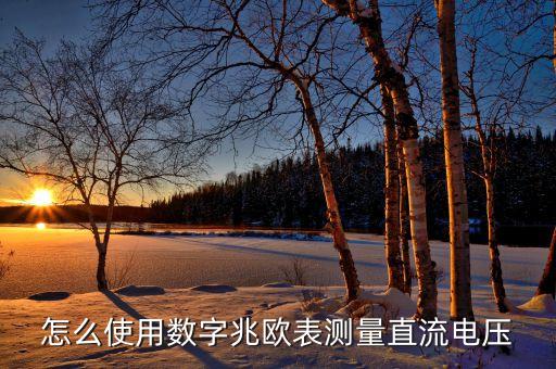 怎么使用數(shù)字兆歐表測量直流電壓