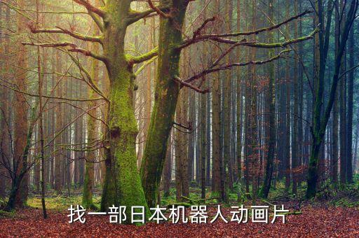 找一部日本機(jī)器人動(dòng)畫片