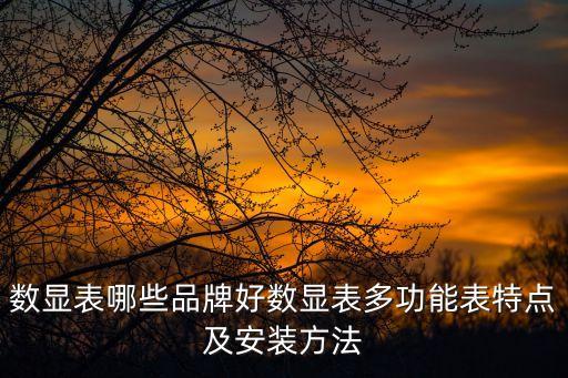 數(shù)顯表哪些品牌好數(shù)顯表多功能表特點及安裝方法