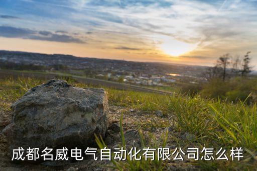 成都名威電氣自動化有限公司怎么樣