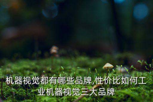 機(jī)器視覺都有哪些品牌,性價(jià)比如何工業(yè)機(jī)器視覺三大品牌