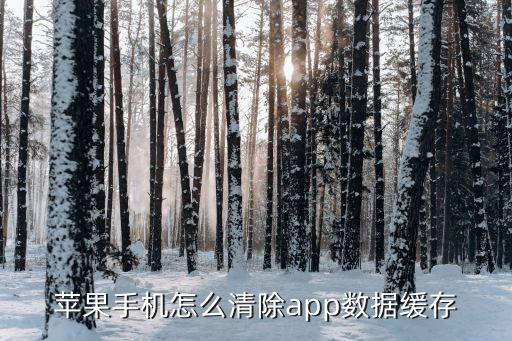 蘋果系統(tǒng)如何清理軟件數(shù)據(jù),蘋果手機(jī)怎么清理app和數(shù)據(jù)?