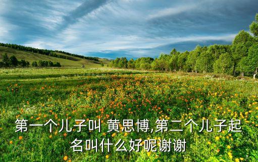 第一個兒子叫 黃思博,第二個兒子起名叫什么好呢謝謝