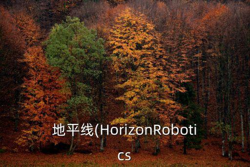 地平線(HorizonRobotics