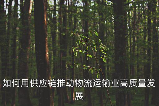 如何用供應(yīng)鏈推動物流運(yùn)輸業(yè)高質(zhì)量發(fā)展