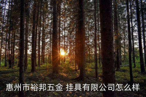 惠州市裕邦五金 掛具有限公司怎么樣