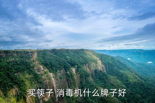 買筷子 消毒機(jī)什么牌子好