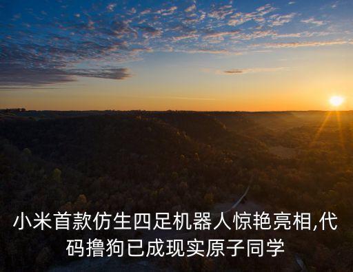 小米首款仿生四足機器人驚艷亮相,代碼擼狗已成現(xiàn)實原子同學