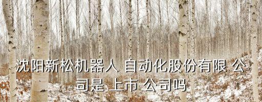沈陽新松機(jī)器人 自動(dòng)化股份有限 公司是 上市 公司嗎