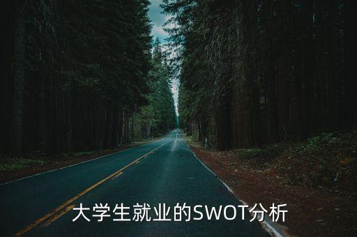  大學(xué)生就業(yè)的SWOT分析