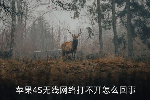 蘋果4s升級(jí)后數(shù)據(jù)上不了網(wǎng),蘋果手機(jī)系統(tǒng)升級(jí)后數(shù)據(jù)還在嗎
