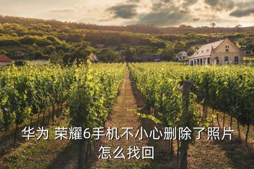 華為榮耀6 回復(fù)備份數(shù)據(jù),華為手機(jī)如何在榮耀手機(jī)上備份數(shù)據(jù)